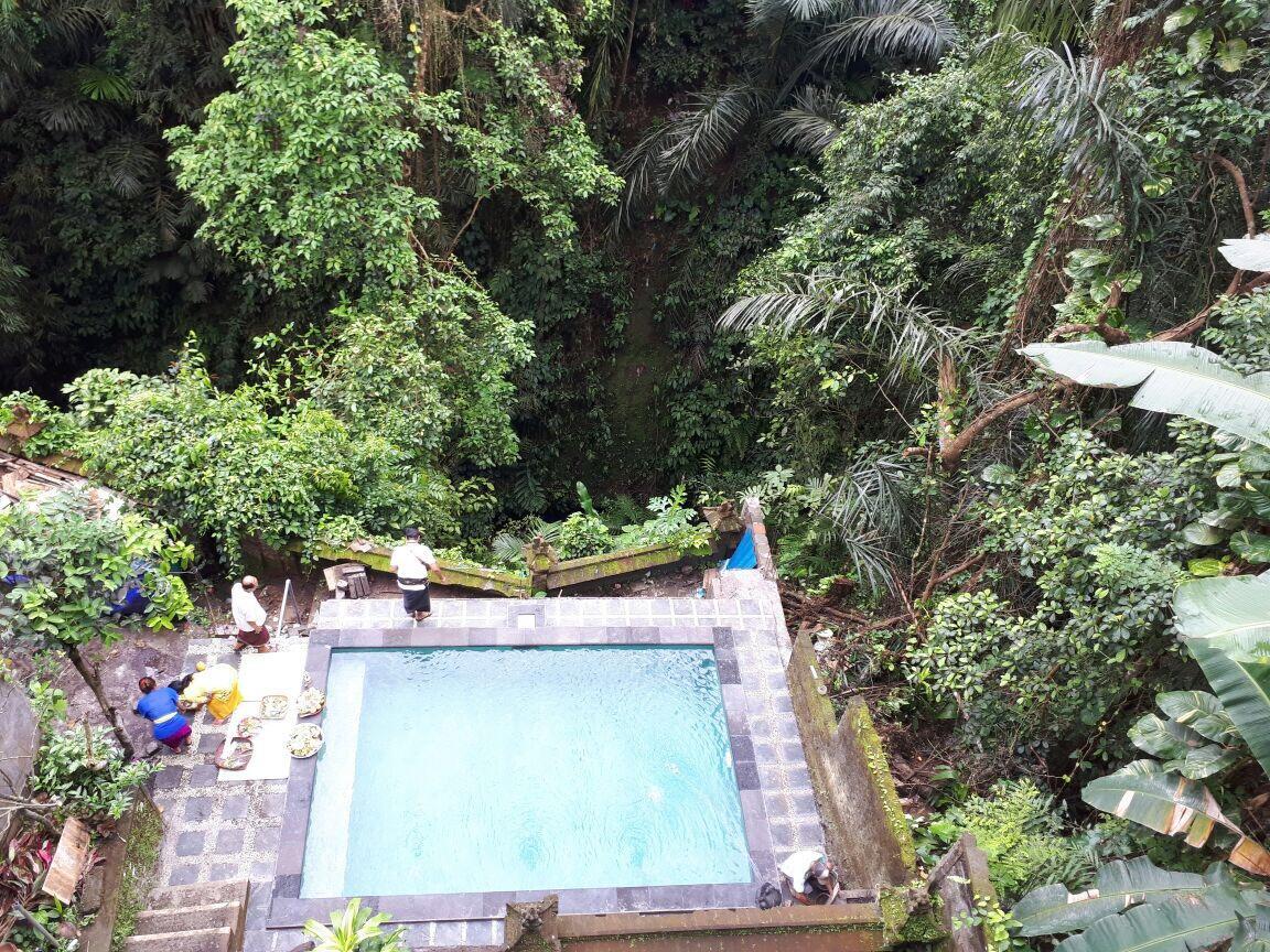 Anggrek Mas Bed & Breakfast Albergue Ubud Exterior foto